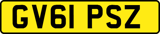 GV61PSZ