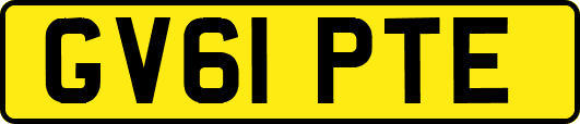 GV61PTE