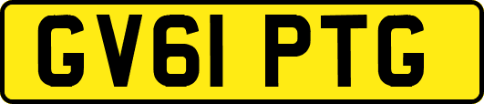 GV61PTG