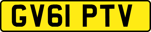 GV61PTV