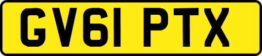 GV61PTX