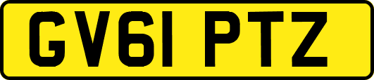 GV61PTZ