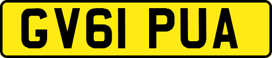 GV61PUA