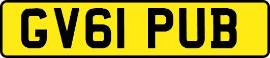 GV61PUB