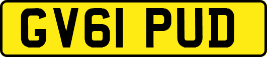GV61PUD