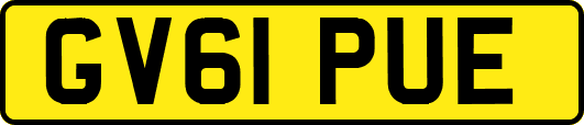 GV61PUE