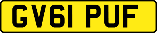 GV61PUF
