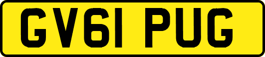 GV61PUG