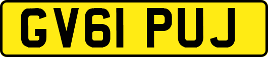 GV61PUJ