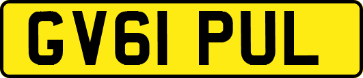 GV61PUL