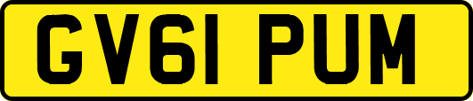 GV61PUM
