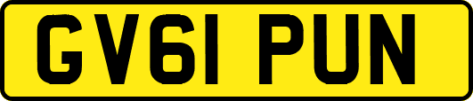 GV61PUN