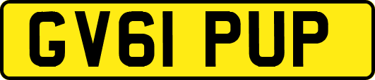 GV61PUP