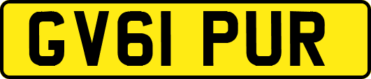 GV61PUR