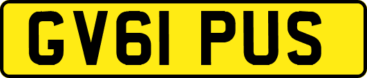 GV61PUS