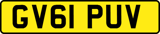 GV61PUV