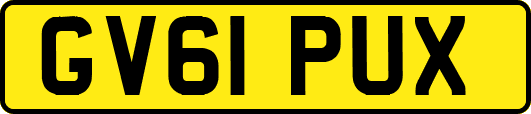 GV61PUX