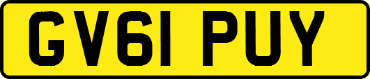 GV61PUY