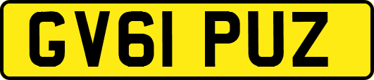 GV61PUZ