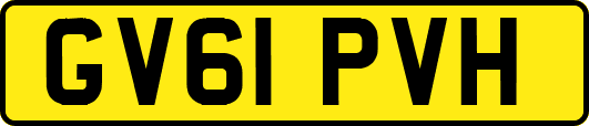 GV61PVH
