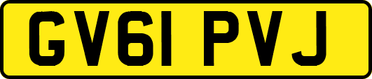GV61PVJ