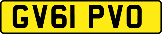 GV61PVO