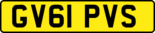GV61PVS
