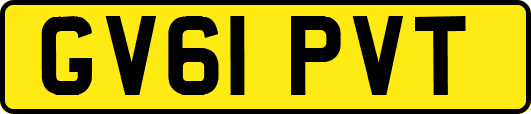 GV61PVT