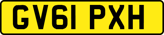 GV61PXH