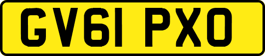 GV61PXO