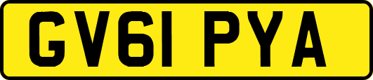 GV61PYA