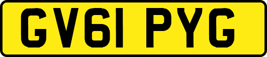 GV61PYG