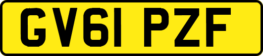 GV61PZF