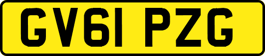 GV61PZG