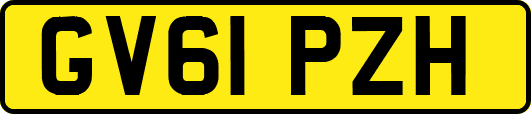 GV61PZH
