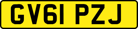 GV61PZJ