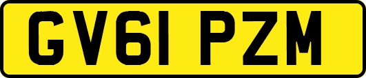 GV61PZM