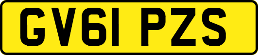 GV61PZS