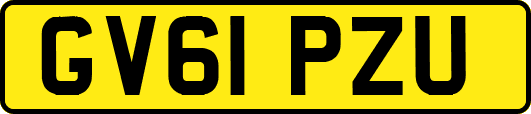 GV61PZU