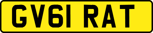 GV61RAT