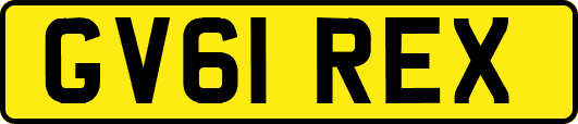 GV61REX