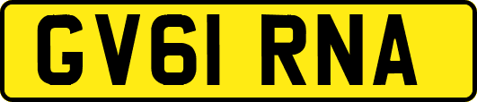 GV61RNA