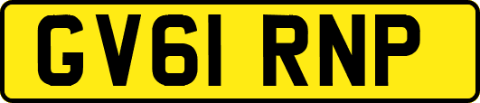 GV61RNP