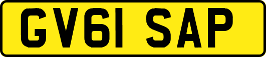 GV61SAP