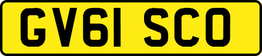 GV61SCO
