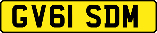 GV61SDM