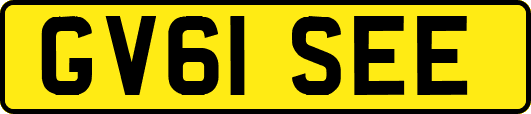 GV61SEE