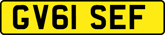 GV61SEF