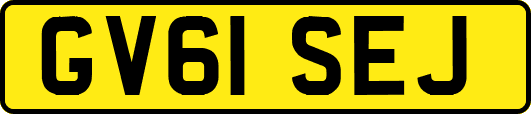 GV61SEJ