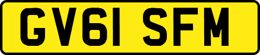 GV61SFM